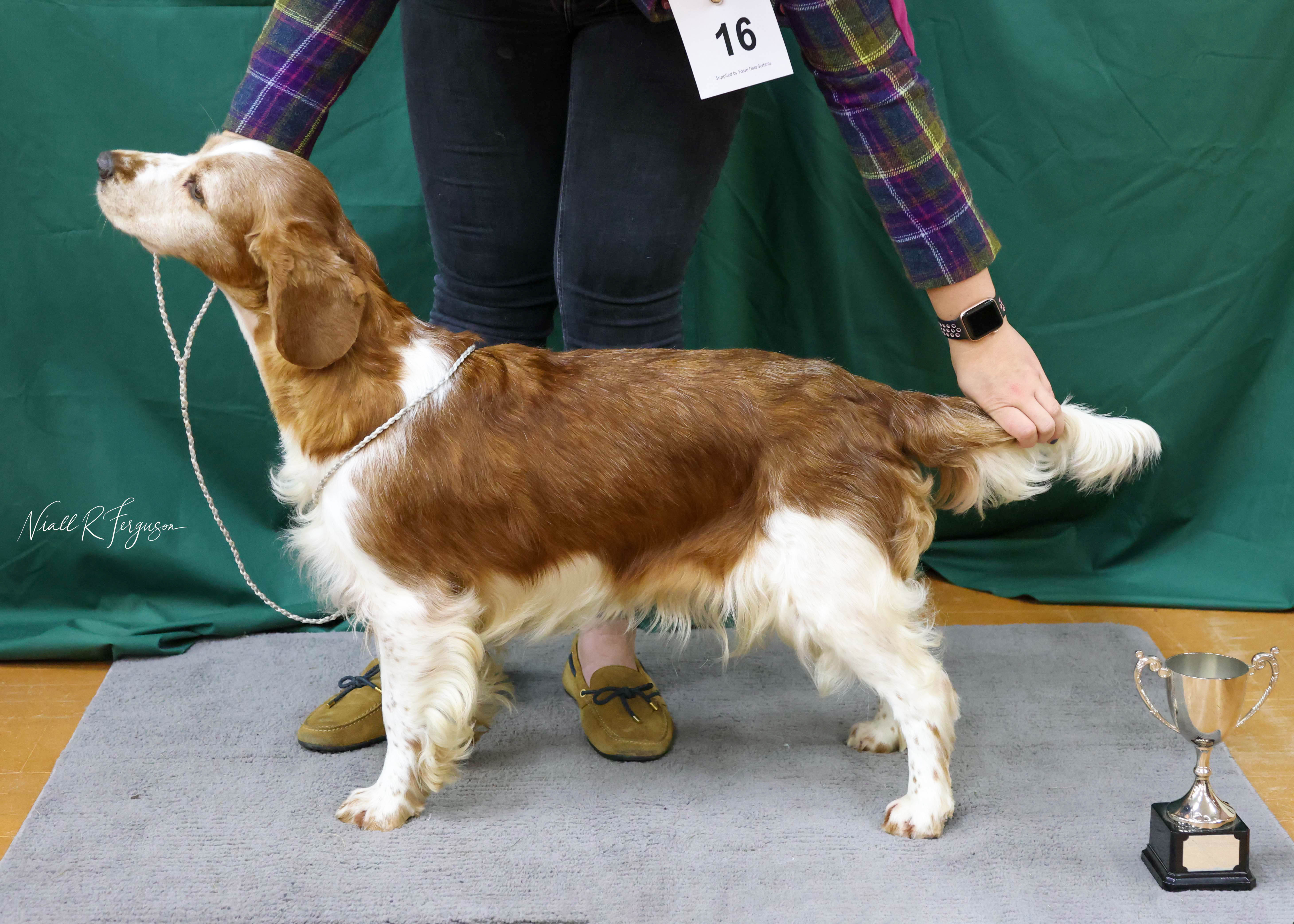 Special Shooting Bitch